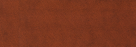 Leather Toro Chocco_doga